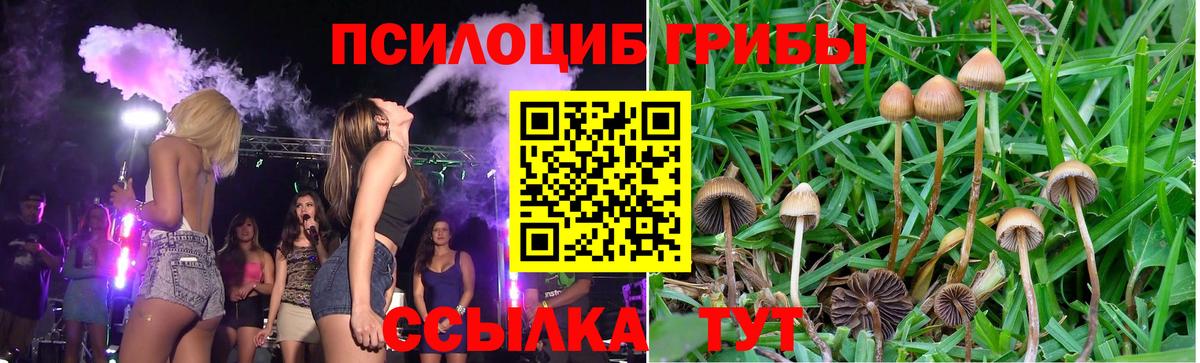 Псилоцибиновые грибы ЛСД  Вход с VPN  Ялта  Галлюциногенные грибы Cubensis 